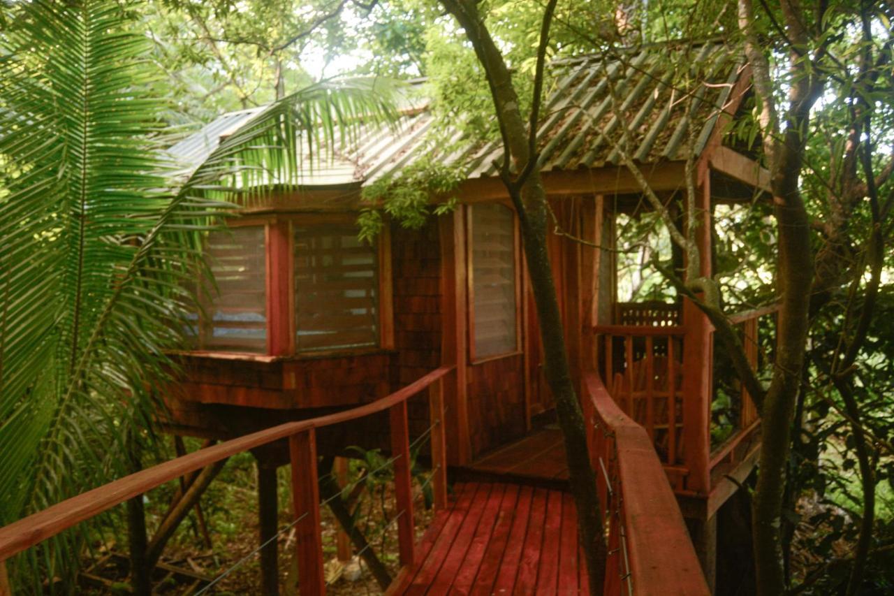 Tukulolo Treehouses Makaunga ภายนอก รูปภาพ