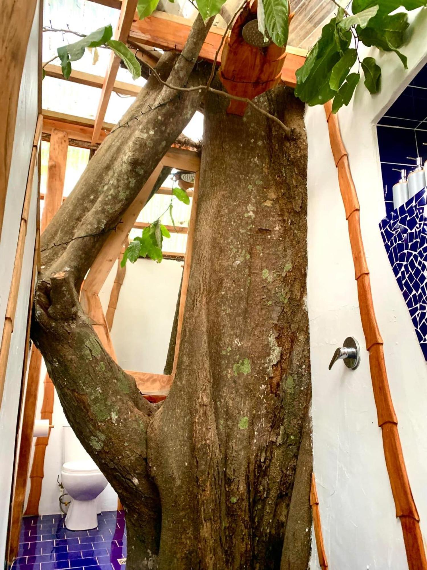 Tukulolo Treehouses Makaunga ภายนอก รูปภาพ